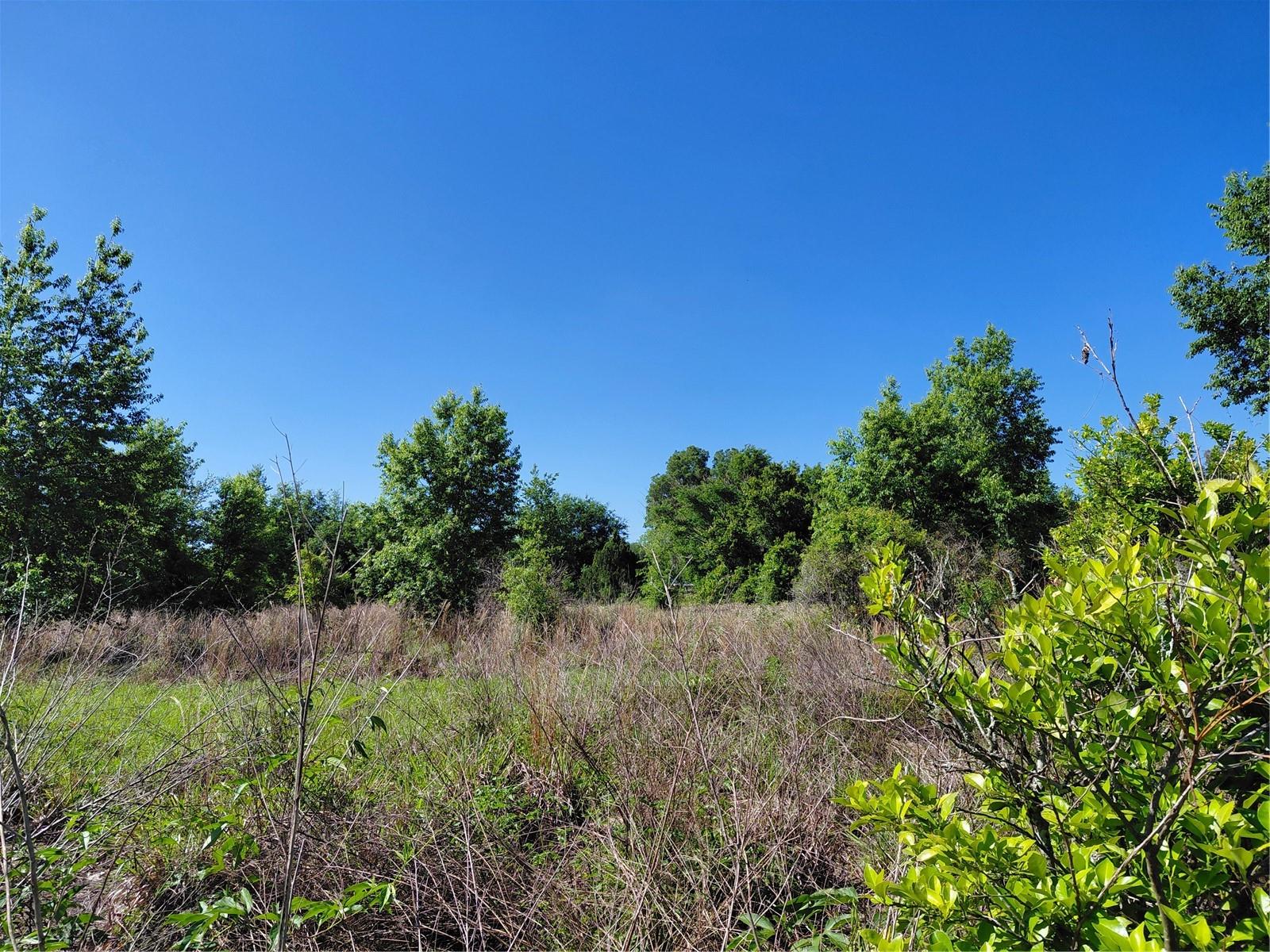 GROVELAND FARMS 05-23-25 - Land