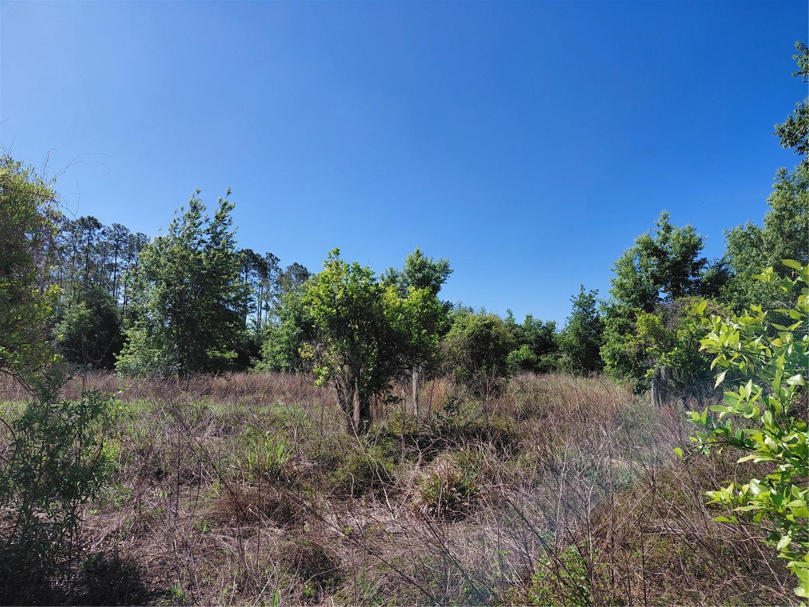 GROVELAND FARMS 05-23-25 - Land