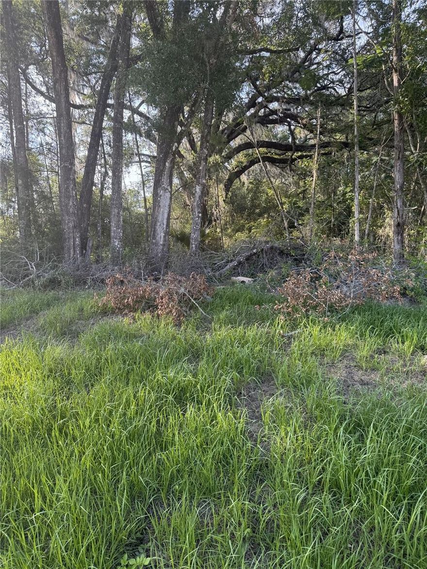 This is a beautiful and unique wooded property with old growth oak forest. It is situated in Alachua County and bordered by the Gainesville City Limits. This property is accessible by a 20-foot wide easement off SW 47th Way. It is easily viewable from SW 51st Road. Perfect for country living and conveniently located within 2 miles of Celebration Pointe. City water, sewage, and power are accessible.