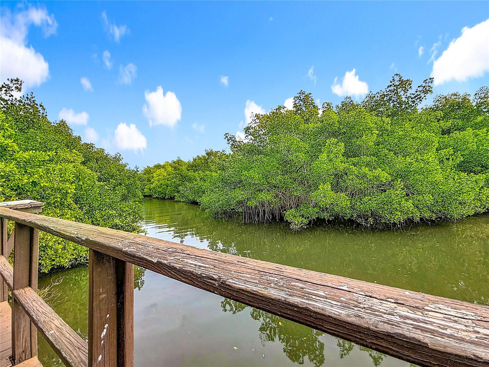 EASTWOOD SHORES 5 - Residential