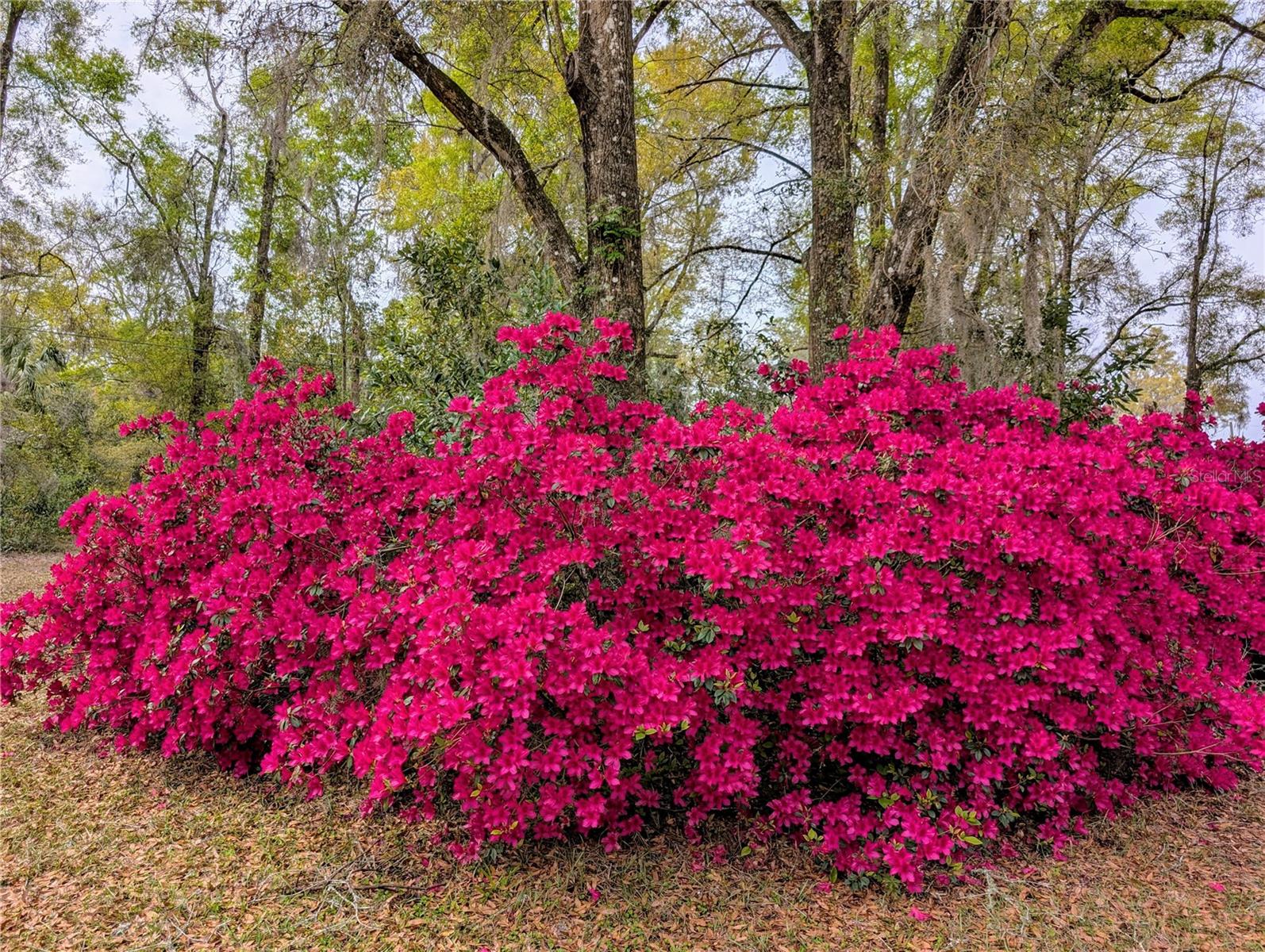 SOUTHERN OAKS - Residential