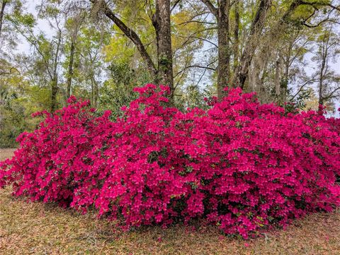 Tiny photo for 6250 NW 94th Lane, Chiefland, FL 32626 (MLS # GC536223)