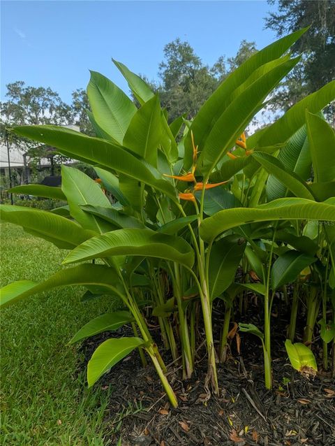 Tiny photo for 6250 NW 94th Lane, Chiefland, FL 32626 (MLS # GC536223)