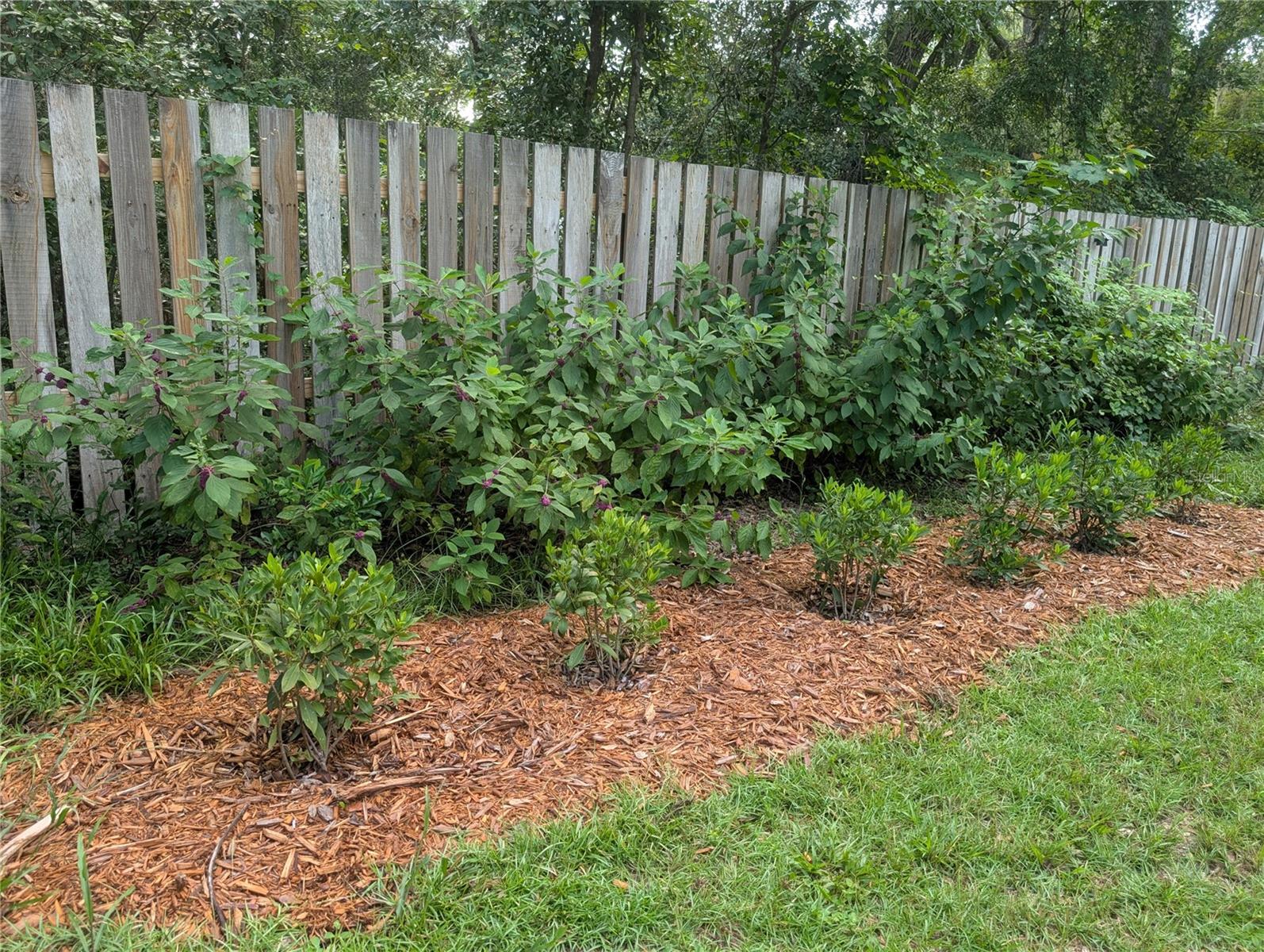 SOUTHERN OAKS - Residential