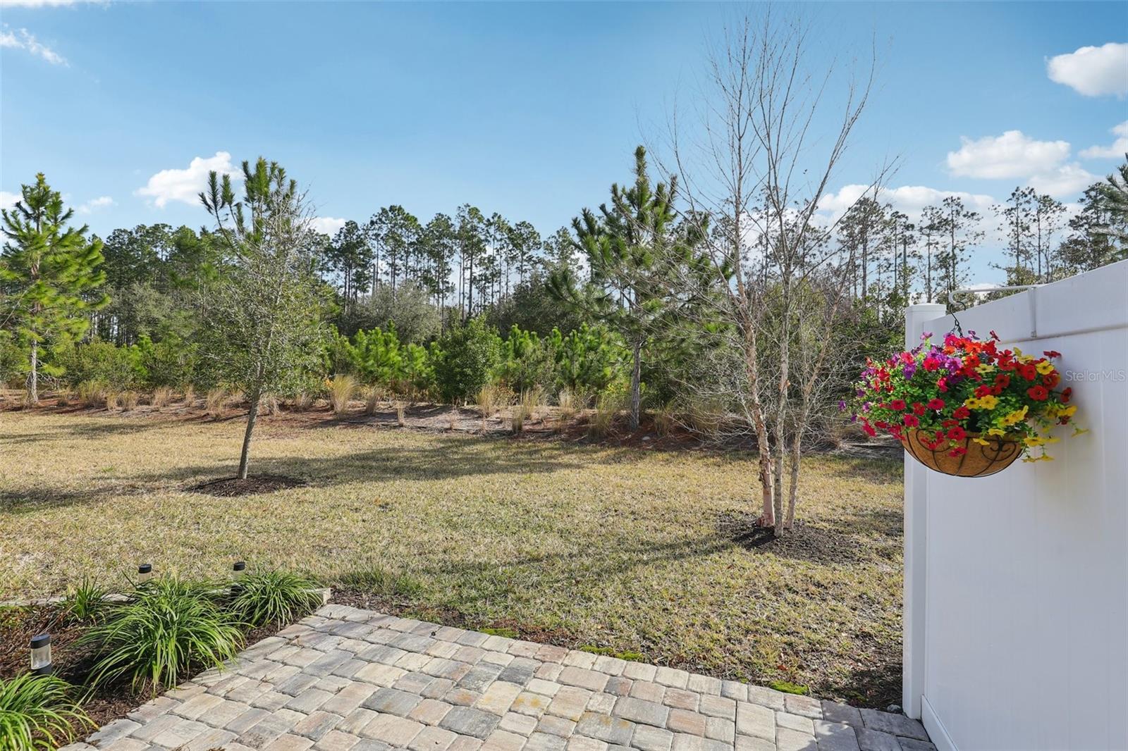 HOLLY FOREST TWNHMS - Residential