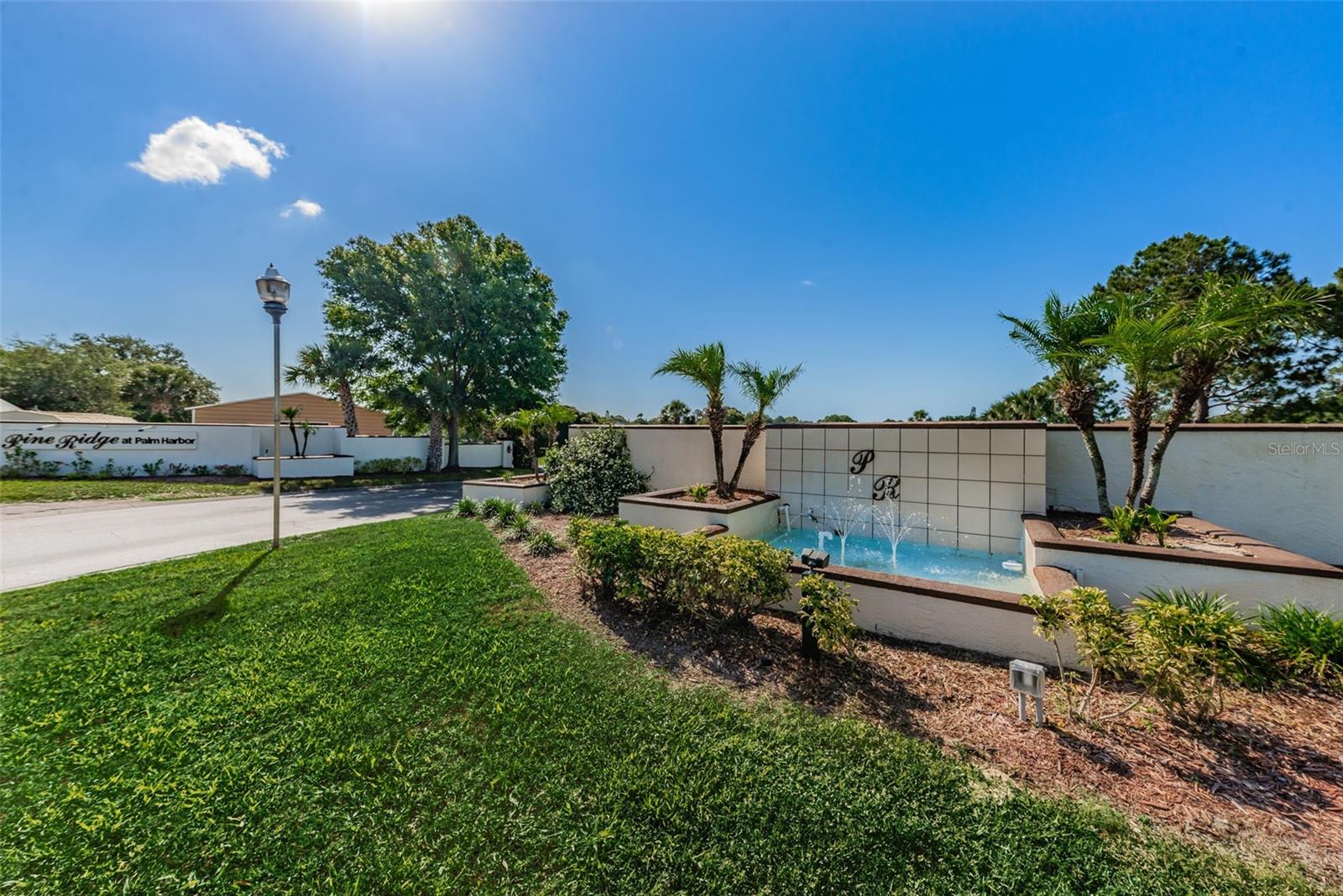 PINE RIDGE AT PALM HARBOR - Residential