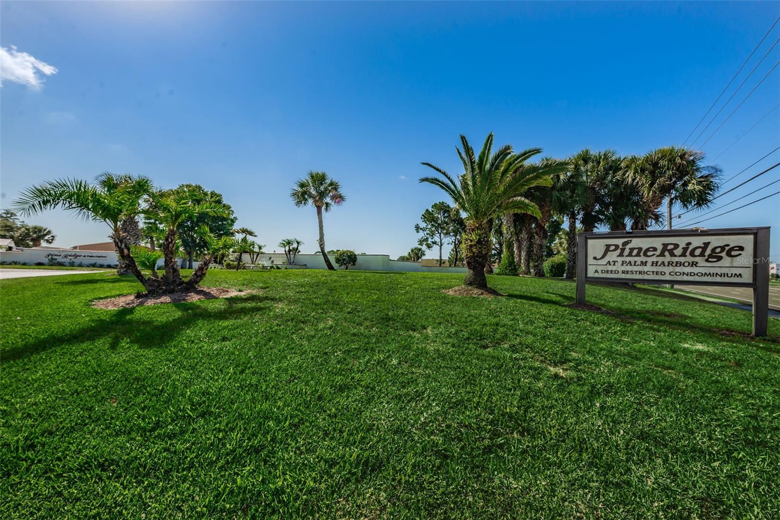 PINE RIDGE AT PALM HARBOR - Residential