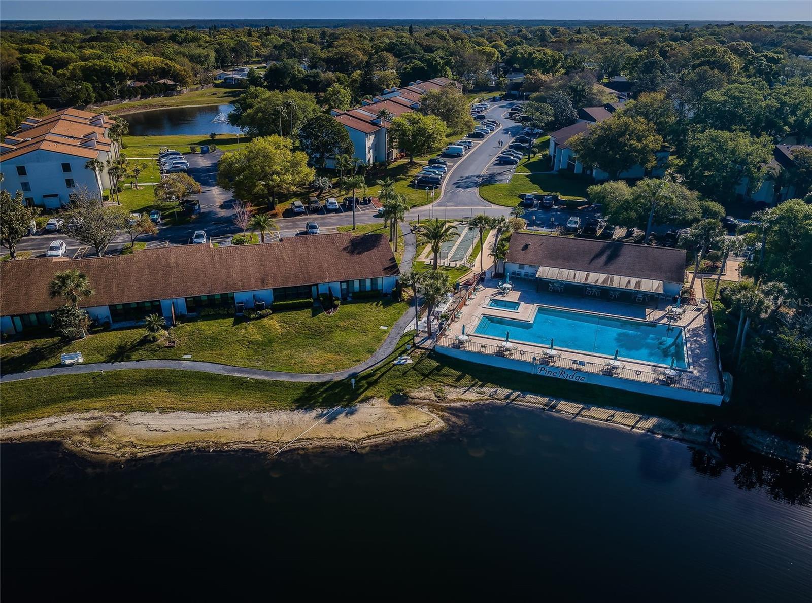 PINE RIDGE AT PALM HARBOR - Residential
