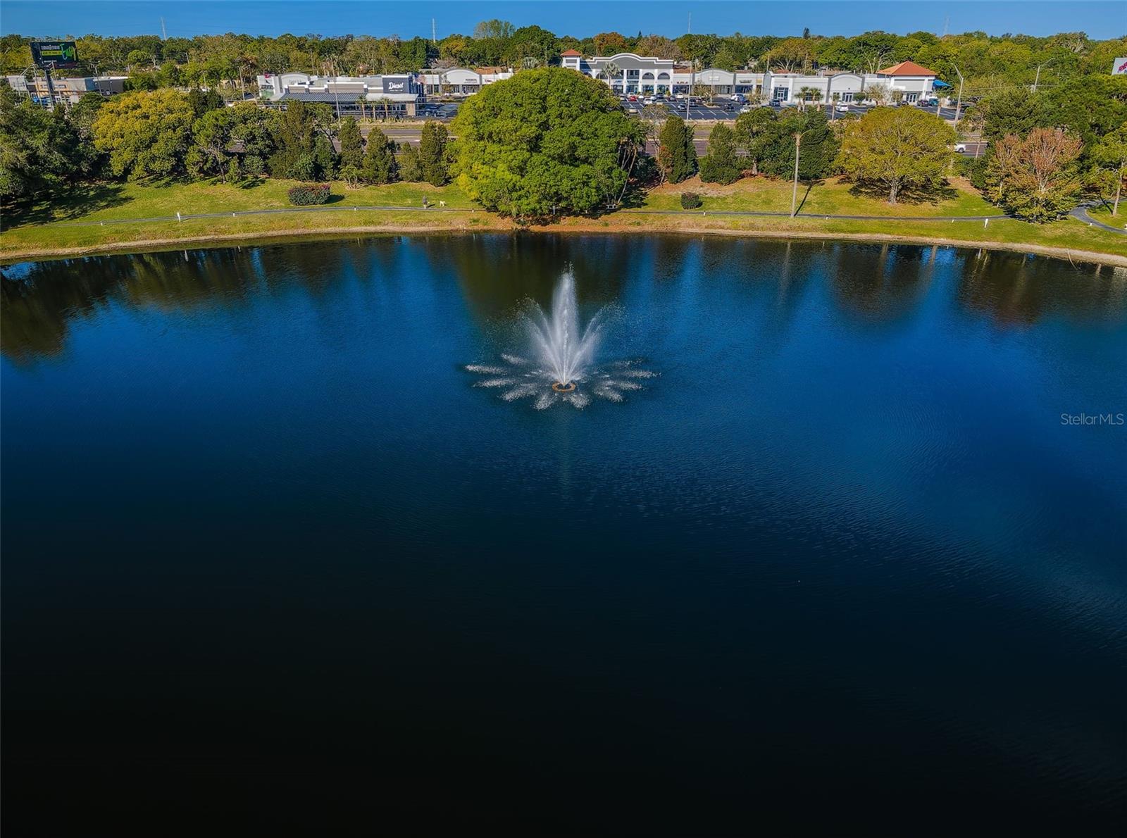 PINE RIDGE AT PALM HARBOR - Residential
