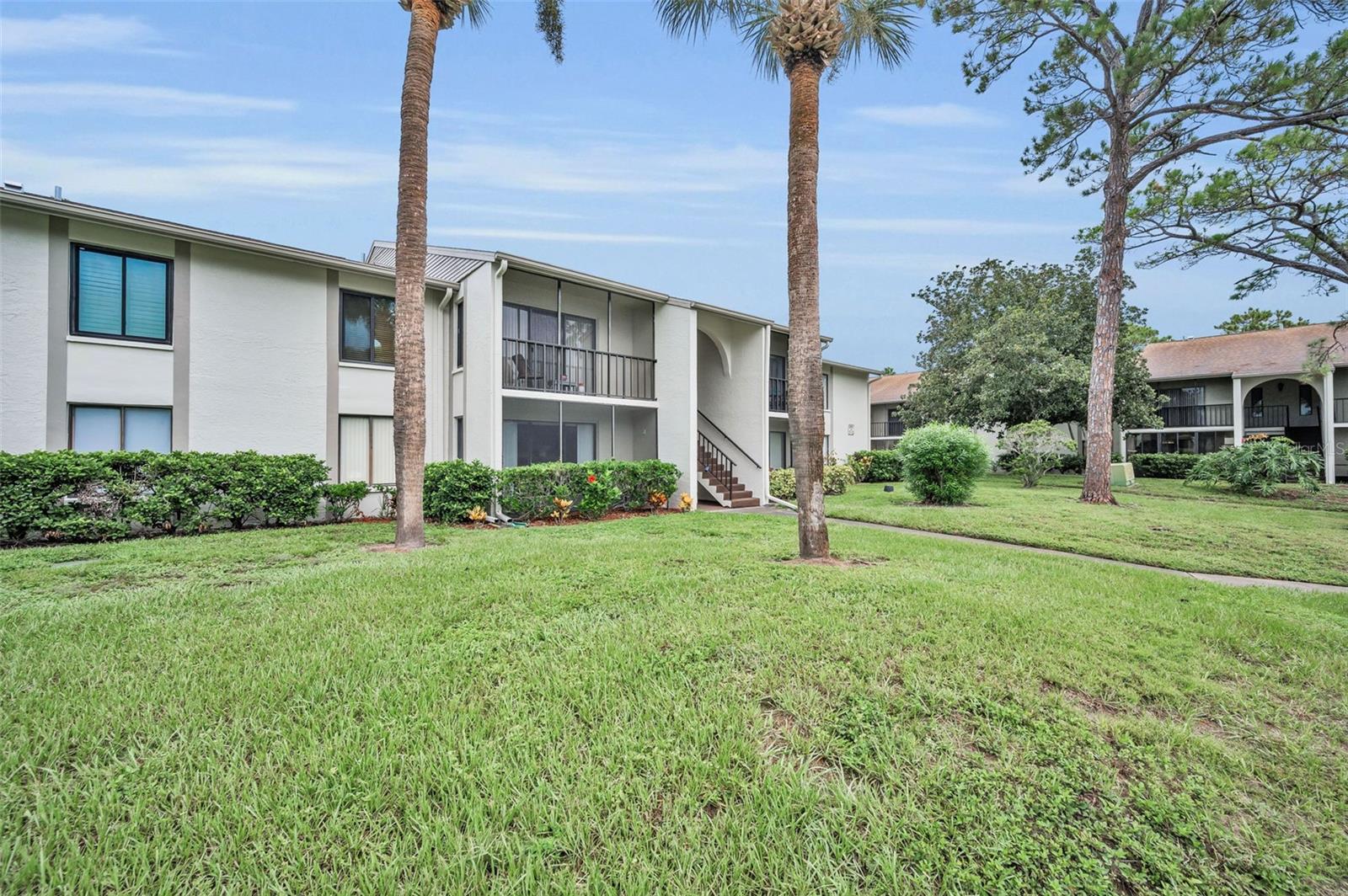 PINE RIDGE AT PALM HARBOR - Residential