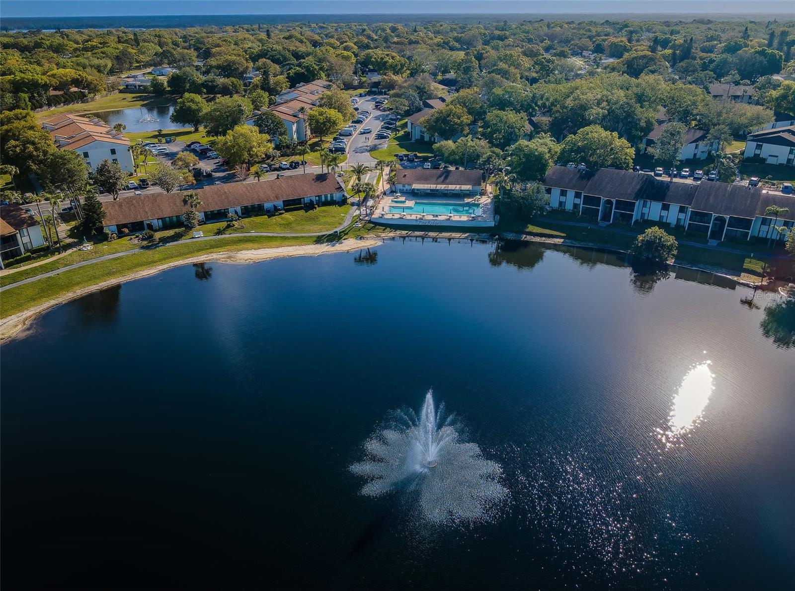 PINE RIDGE AT PALM HARBOR - Residential