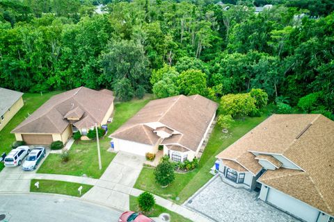 A home in KISSIMMEE