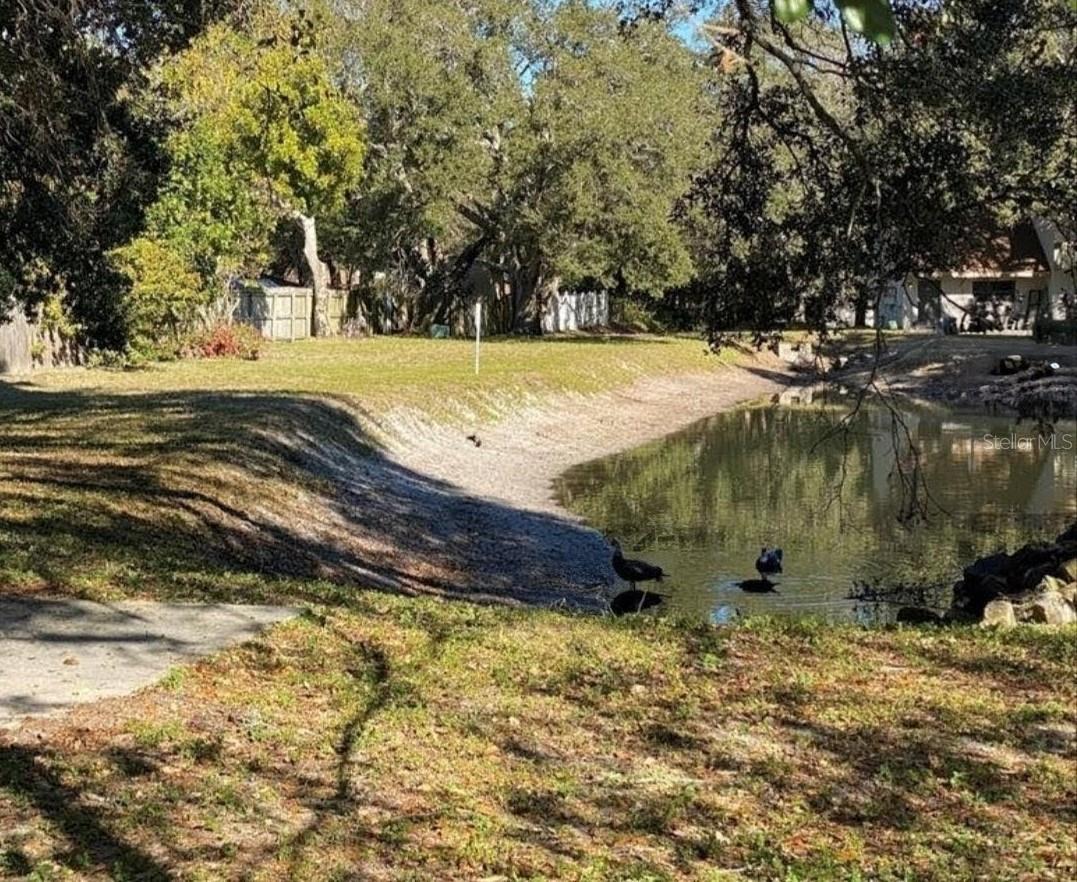 BRADFORD ACRES A CONDO - Residential