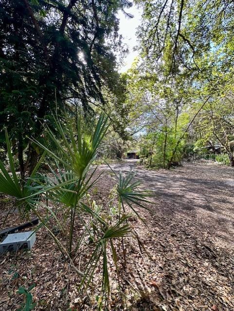 NOT IN SUBDIVISION - Residential