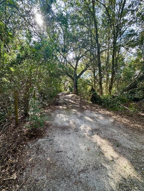 NOT IN SUBDIVISION - Residential