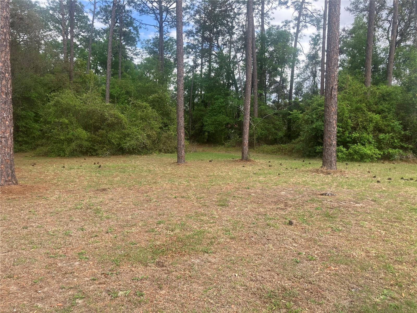 SE 19th Place SE 19TH PLACE