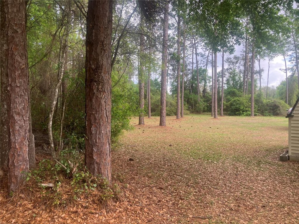 Photo of 19 SE 19th Place, Silver Springs, FL 34488 (MLS # O6396129)