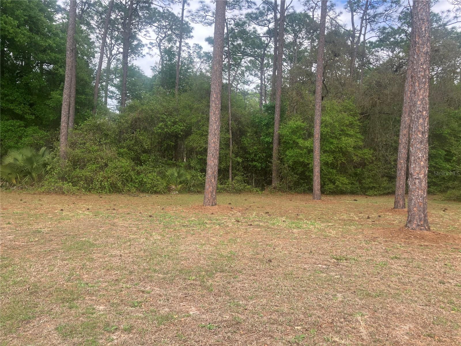 SE 19th Place SE 19TH PLACE