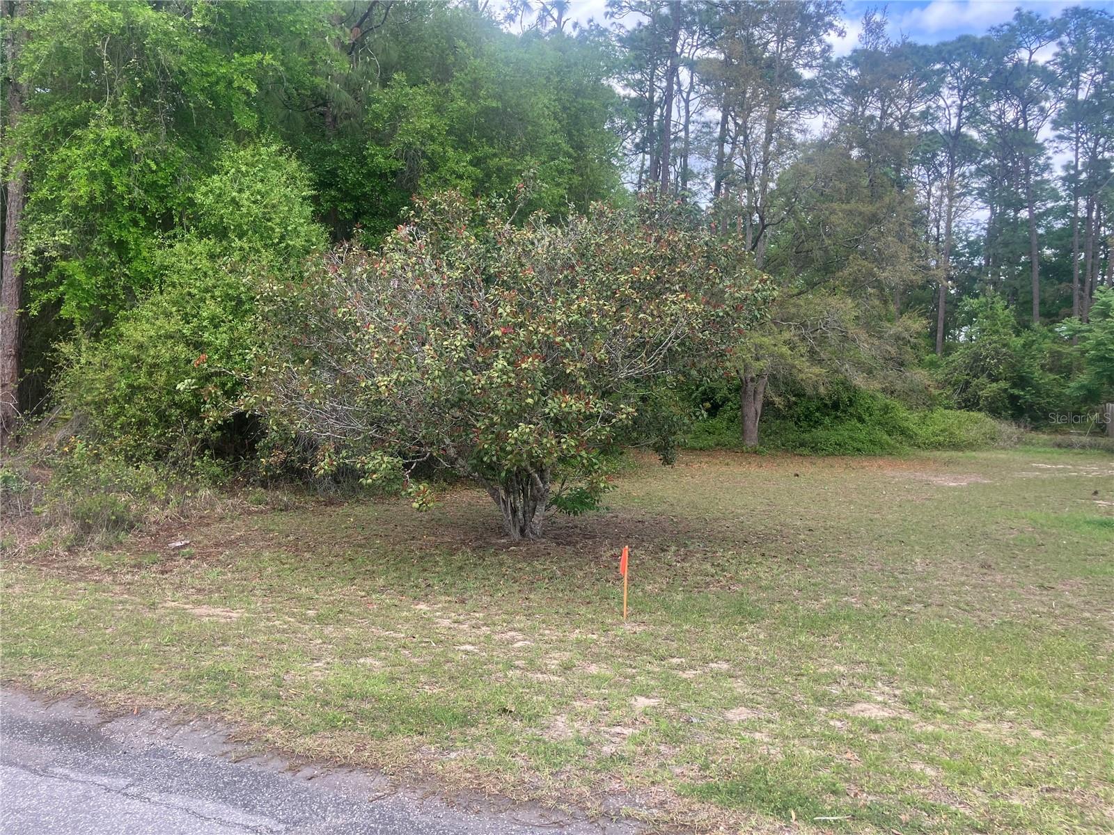 SILVER SPGS VILLAGE - Residential