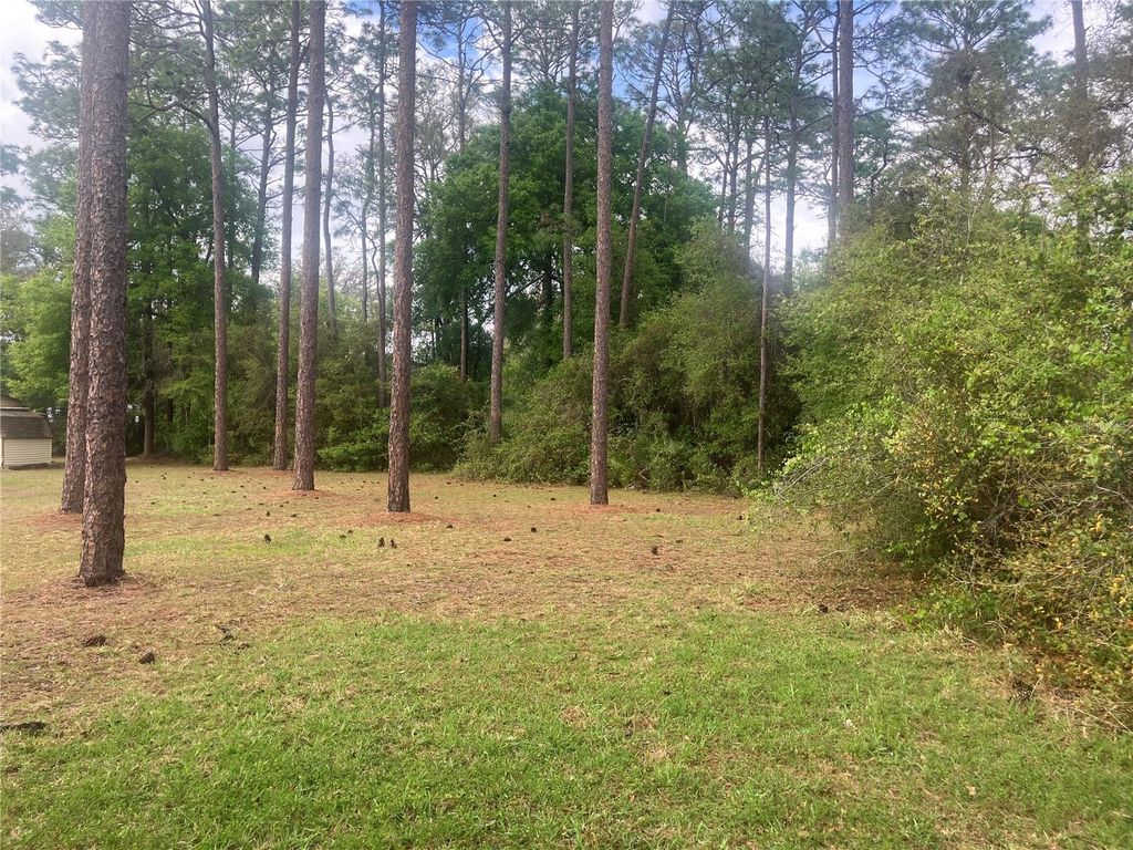 Photo of 19 SE 19th Place, Silver Springs, FL 34488 (MLS # O6396129)