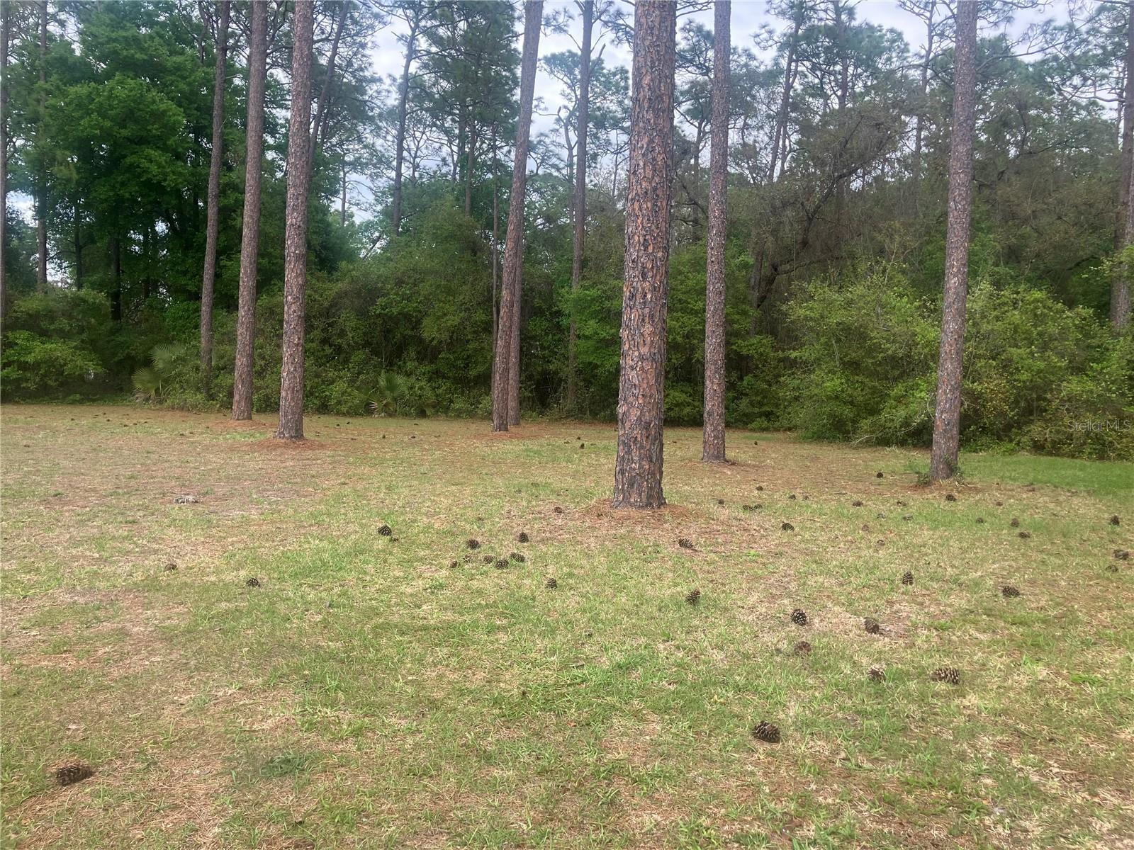 SILVER SPGS VILLAGE - Residential