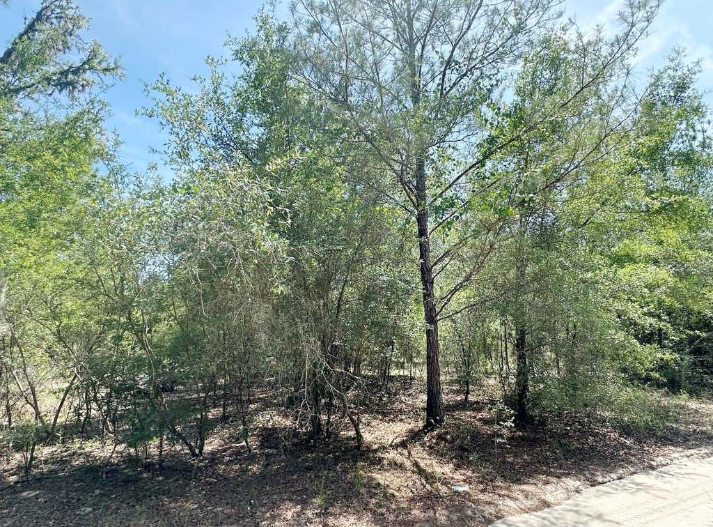 Photo of 7930 NE 121st Street, Bronson, FL 32621 (MLS # GC540795)