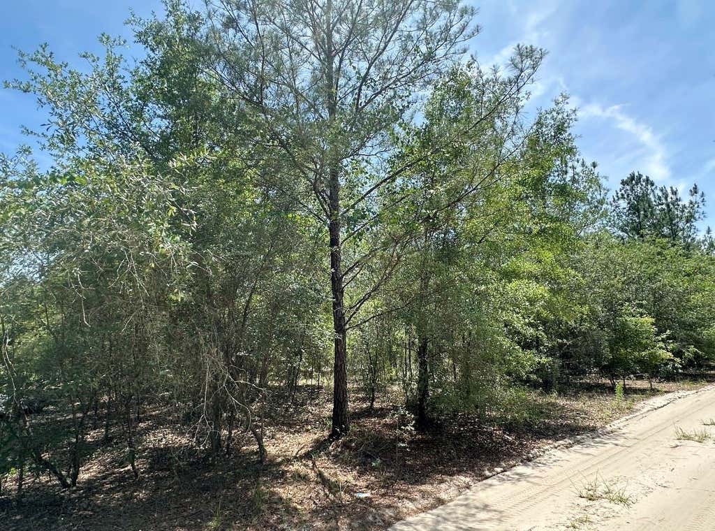 Photo of 7930 NE 121st Street, Bronson, FL 32621 (MLS # GC540795)