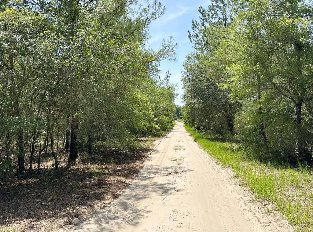 Photo of 7930 NE 121st Street, Bronson, FL 32621 (MLS # GC540795)