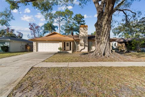 Photo of 4109 Summerdale Drive, Tampa, FL 33624 (MLS # TB8466132)