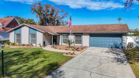 A home in VALRICO