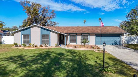 A home in VALRICO