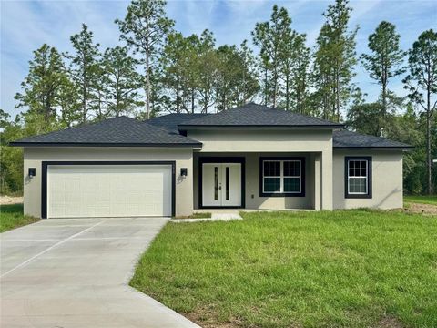 Photo of 152 W Diego Place, Citrus Springs, FL 34434 (MLS # O6310877)