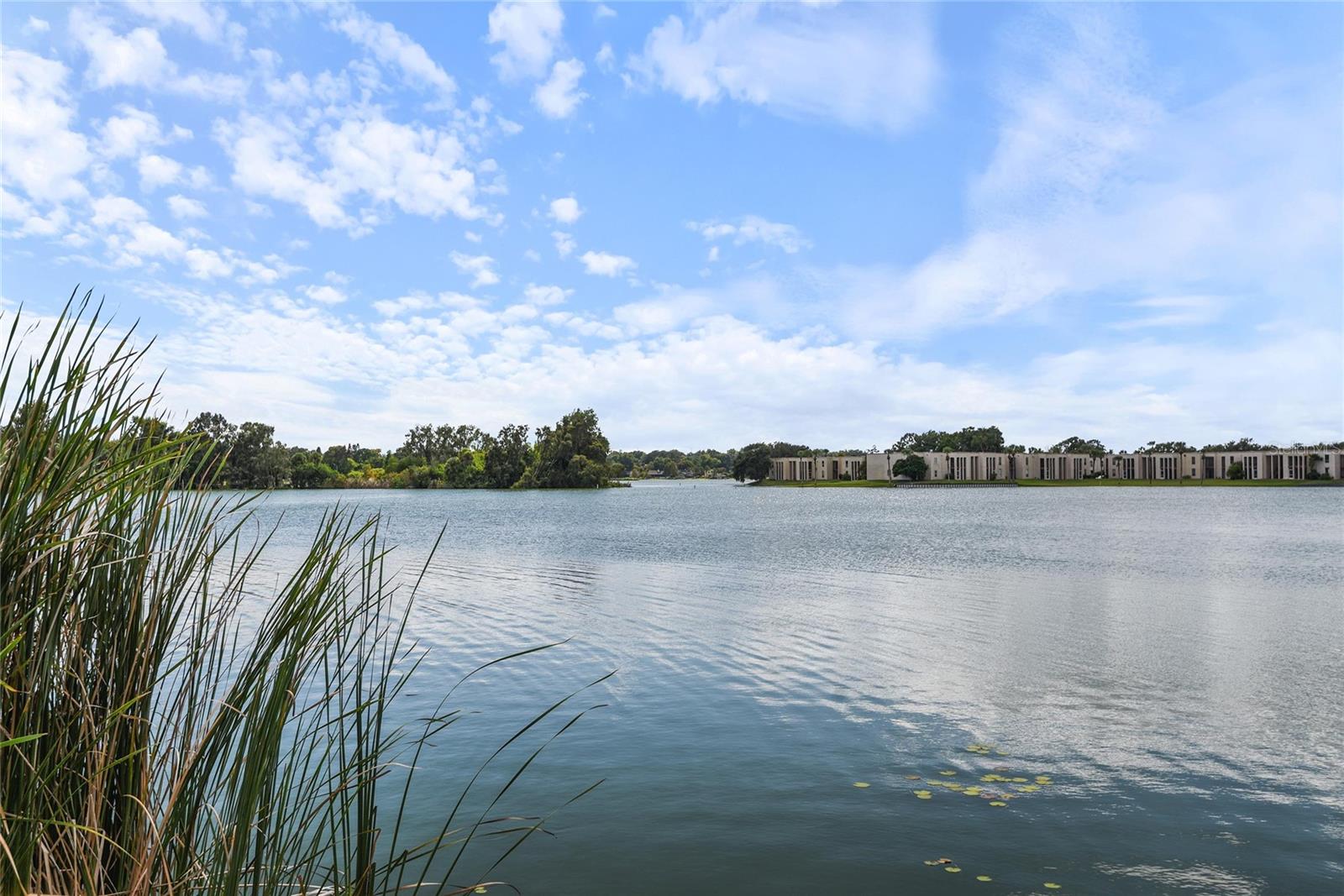 SANDY COVE CONDO - Residential