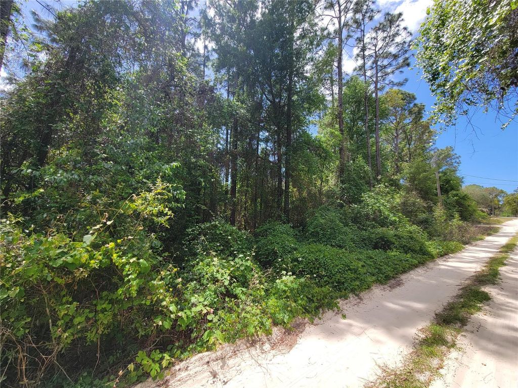 Photo of 6685 W Euwell Court, Crystal River, FL 34429 (MLS # A4688527)