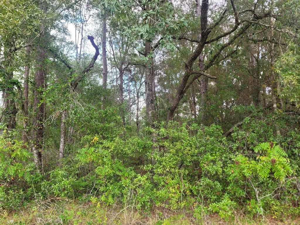 Photo of 9858 N Jourden Drive, Citrus Springs, FL 34434 (MLS # OM711139)