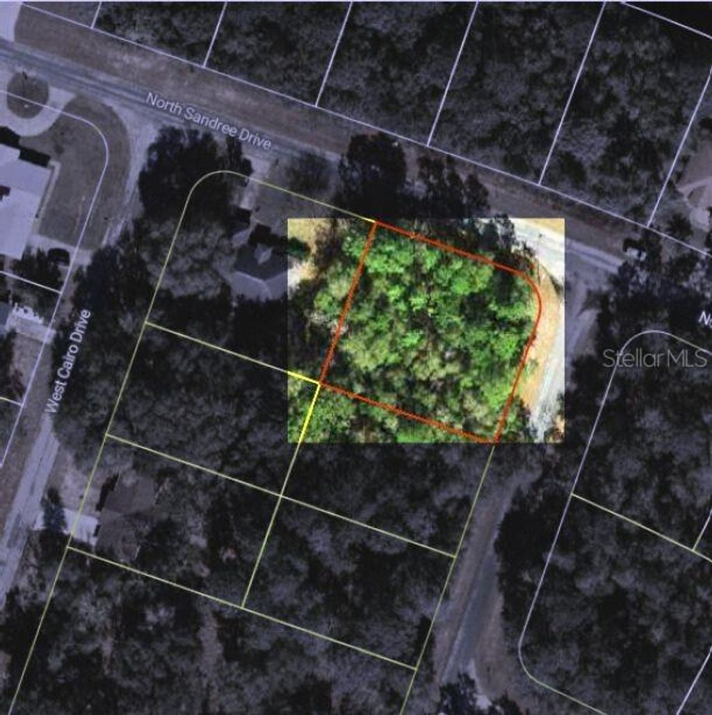 Photo of 9858 N Jourden Drive, Citrus Springs, FL 34434 (MLS # OM711139)