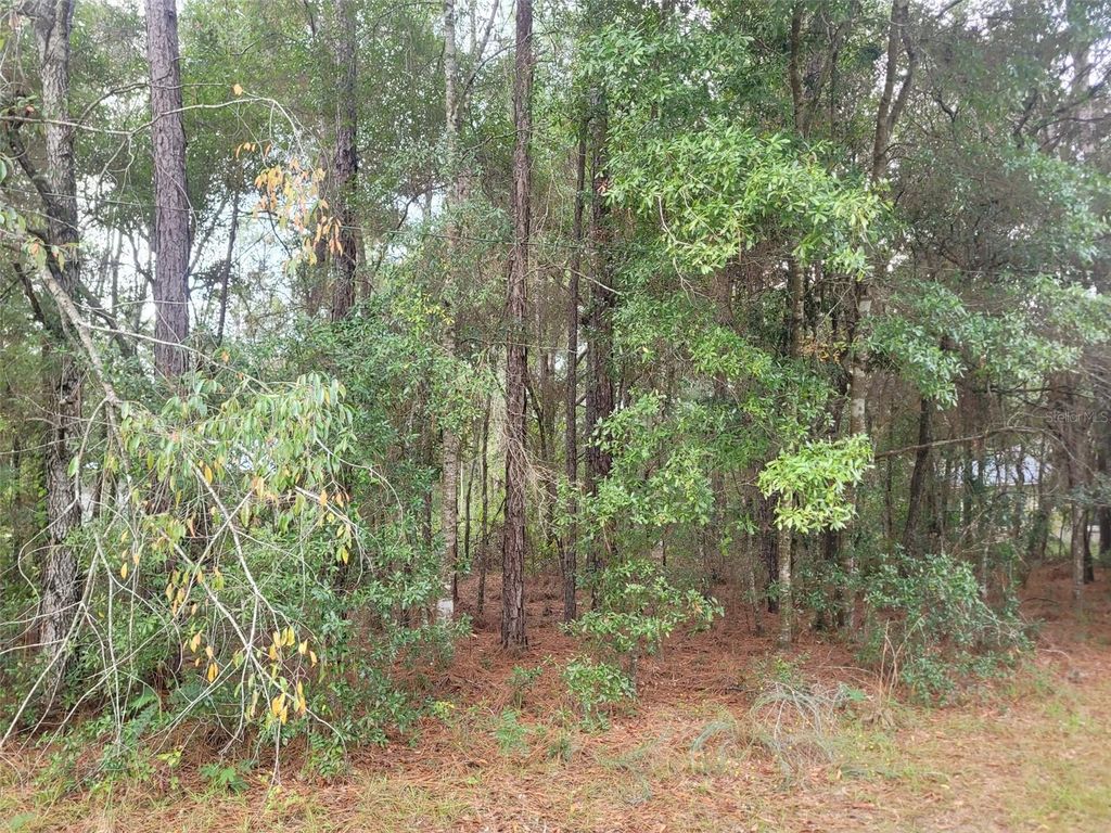Photo of 9858 N Jourden Drive, Citrus Springs, FL 34434 (MLS # OM711139)