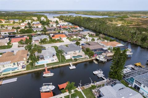 A home in PORT RICHEY