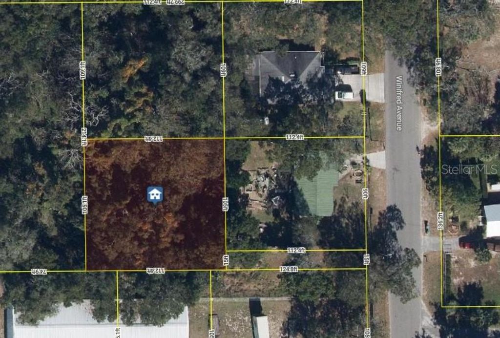 Photo of 2834 Winifred Avenue, Zellwood, FL 32798 (MLS # O6365739)