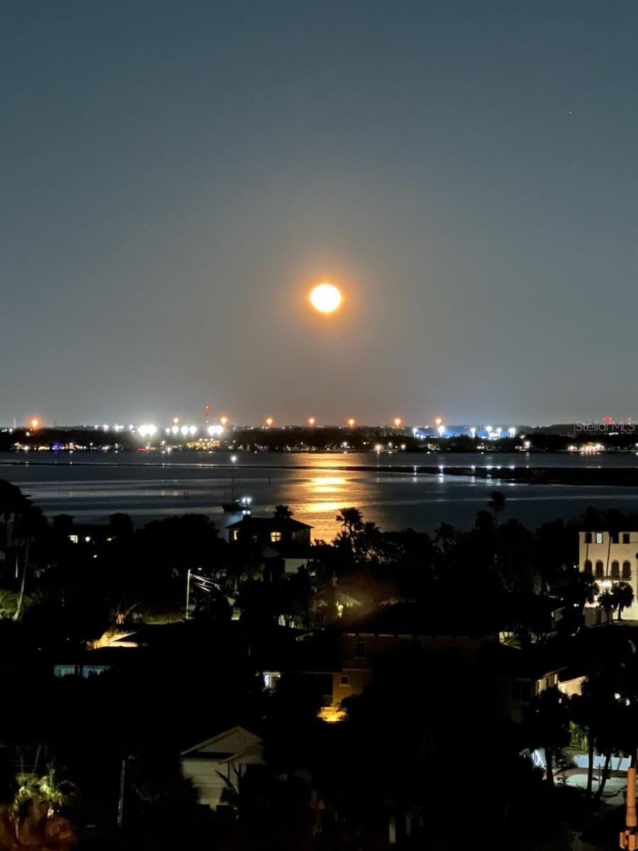 REGATTA BEACH CLUB CONDO - Residential