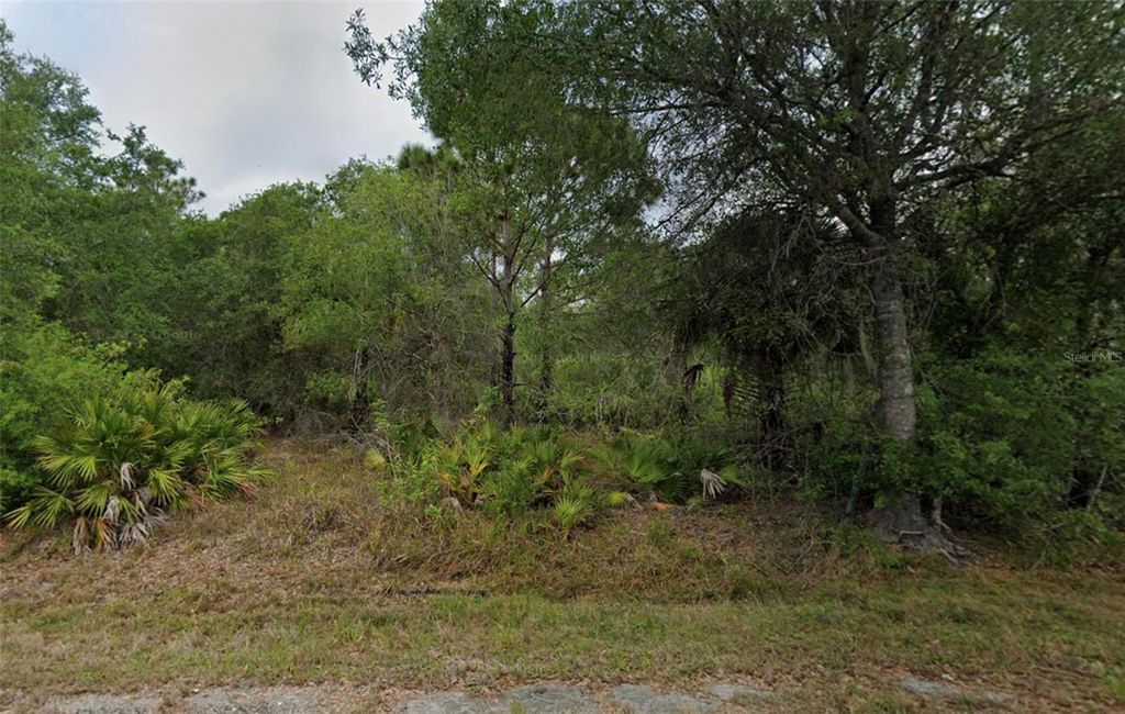 Photo of 23302 Aladdin Avenue, Port Charlotte, FL 33980 (MLS # O6385624)