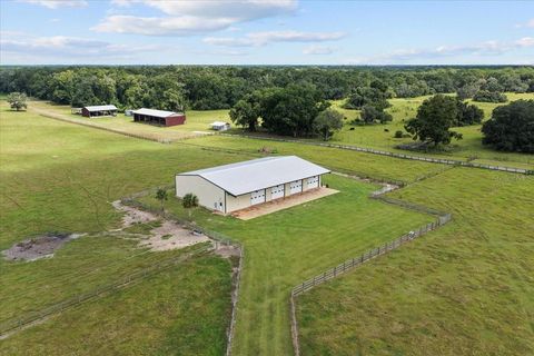 Tiny photo for 10151 NW 70th Street, Chiefland, FL 32626 (MLS # W7879587)