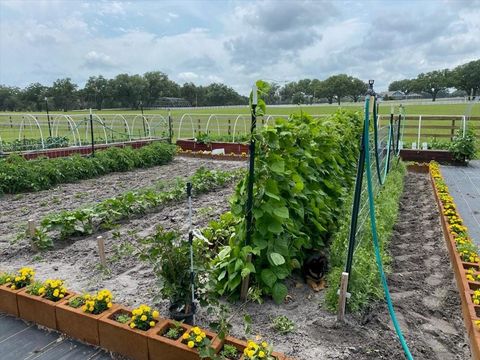 Tiny photo for 10151 NW 70th Street, Chiefland, FL 32626 (MLS # W7879587)