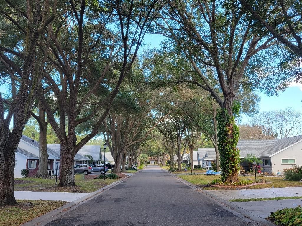 Photo of 9368 SW 82nd Terrace #D, Ocala, FL 34481 (MLS # TB8475880)