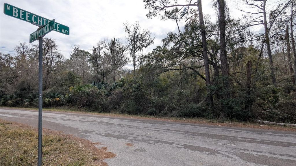 Photo of 9076 N Evenstock Way, Crystal River, FL 34428 (MLS # OK224909)