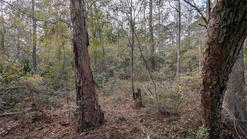 Photo of 9076 N Evenstock Way, Crystal River, FL 34428 (MLS # OK224909)