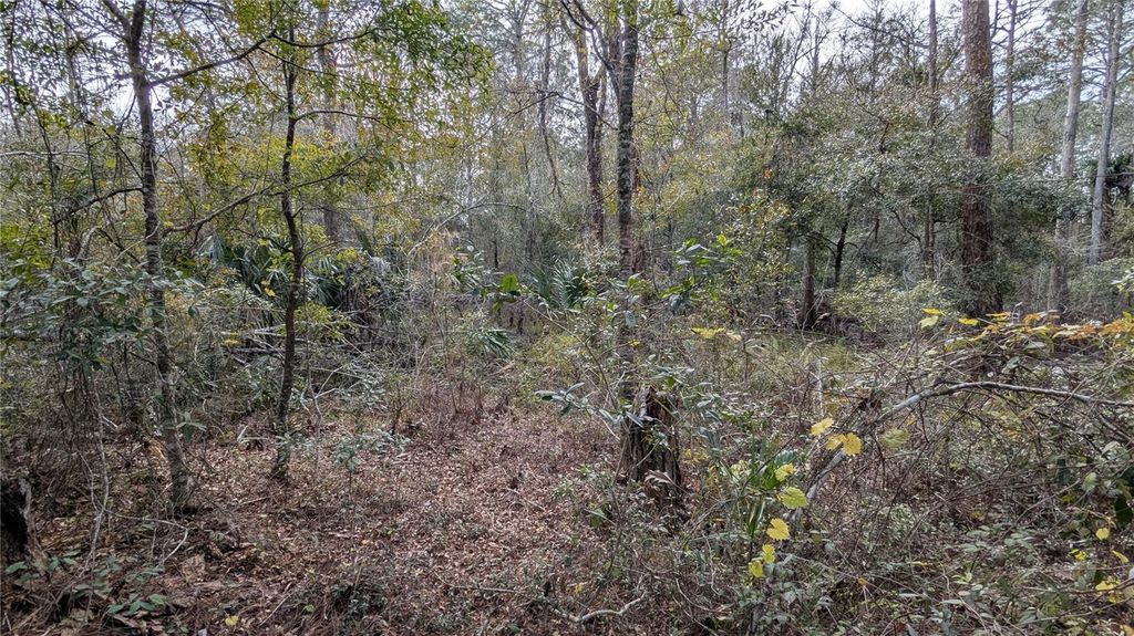 Photo of 9076 N Evenstock Way, Crystal River, FL 34428 (MLS # OK224909)