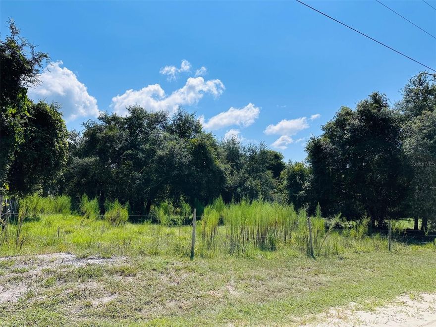 Come enjoy almost 10 acres of beautiful North Central Florida land, scattered with a variety of native trees. This property offers the perfect canvas for your dream—whether you want to build a custom site-built home or place a manufactured home. Located just a quick golf cart ride to the local 18-hole golf course and only minutes from Manatee Springs State Park and a boat ramp on the Suwannee River, you’ll never run out of ways to enjoy the outdoors. Conveniently situated only 10 minutes from shopping, schools, and local dining in Chiefland and just less than an hour commute to Gainesville. You’ll love the balance of privacy and accessibility. With plenty of space for horses, cattle, or even a garden, this property is ideal for anyone looking for a homestead, weekend retreat, or investment. Looking for more acreage? The adjoining 9.54-acre parcel is also available—buy one or both! If you’ve been searching for land in Florida that combines recreation, privacy, and convenience, this one is calling your name!
