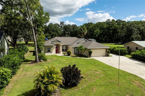 Tiny photo for 114 Wingfield Drive, Umatilla, FL 32784 (MLS # G5103435)
