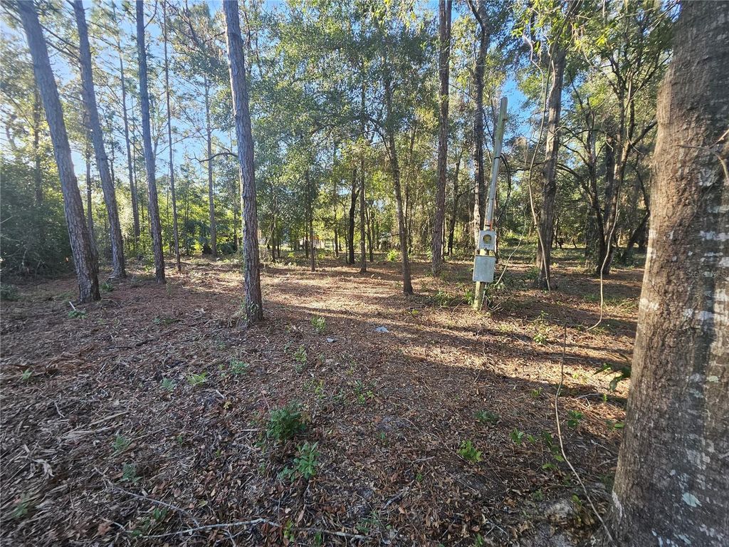 Photo of 4462 N Well View Point, Crystal River, FL 34428 (MLS # OM720336)